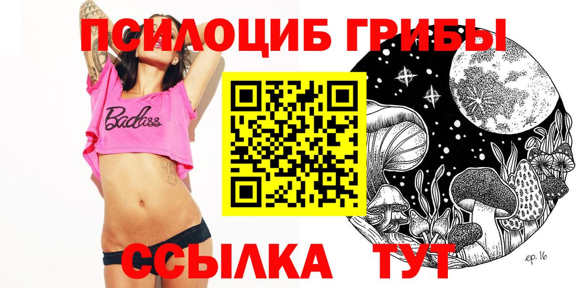 Всеволожск  что такое наркотик  Вход с VPN  Галлюциногенные грибы Psilocybe 